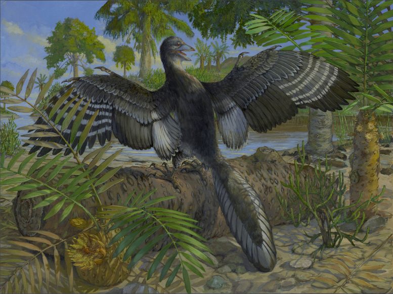 Reimagined Illustration of a Archaeopteryx