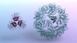 Reinforcement Learning in Computerized Protein Design