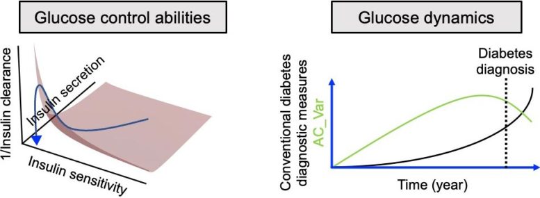 Relationship Between a New CGM Derived Index and Blood Glucose Control Ability