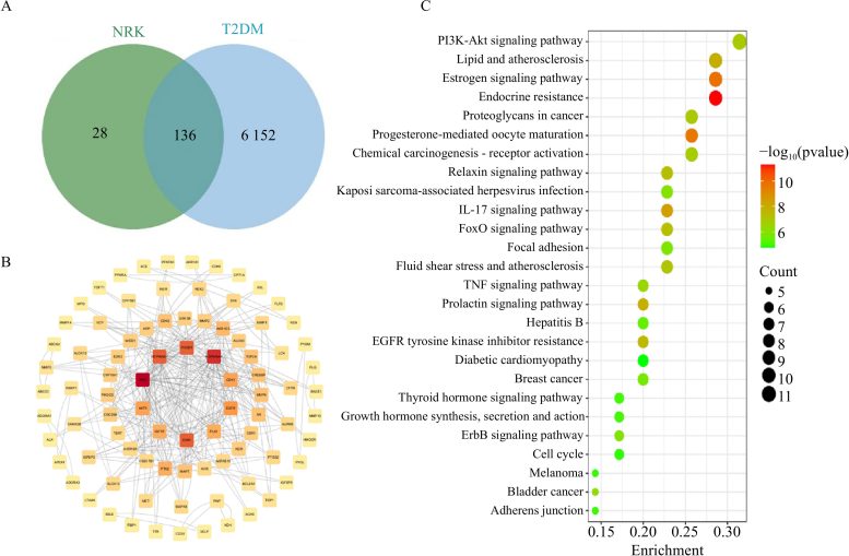Relationship Between the Active Components of NRK C and Targets in the Prevention and Treatment of Diabetes
