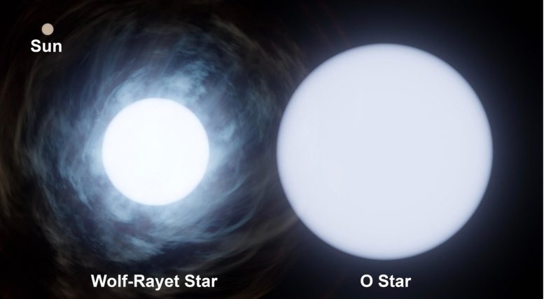 Dimensione relativa della stella Wolf Rayet