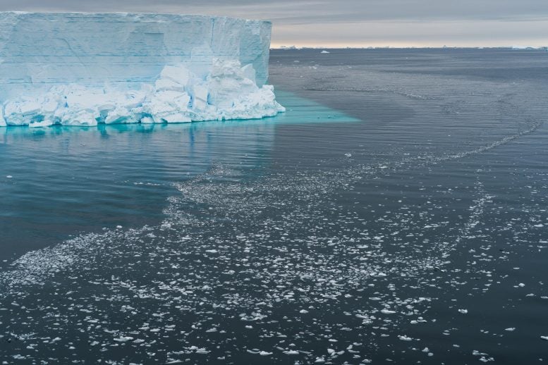 Remnants of Massive Iceberg Calving Event