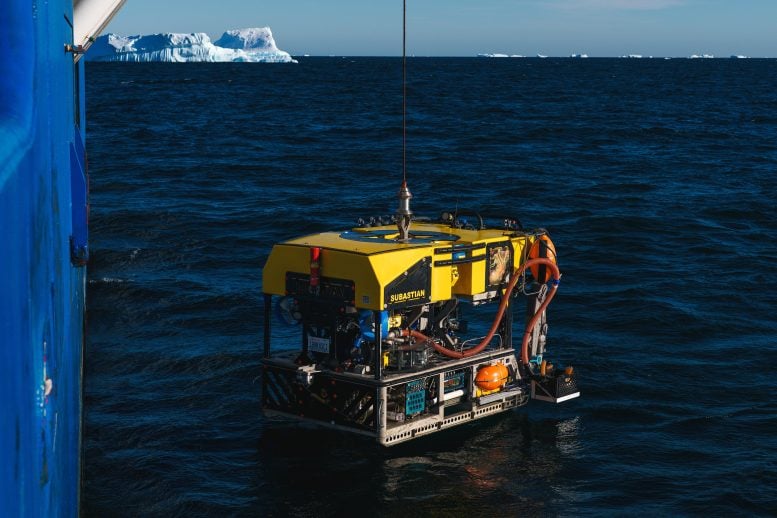 Remotely Operated Vehicle (ROV) SuBastian