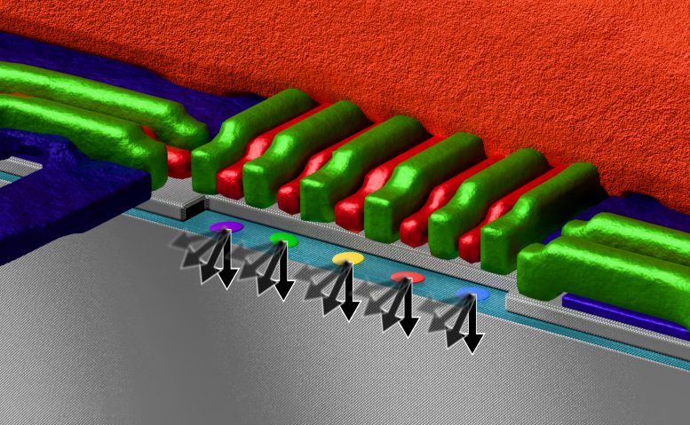 Rendered Illustration of Five Silicon Spin Qubits Controlled by a Shared Microwave Line