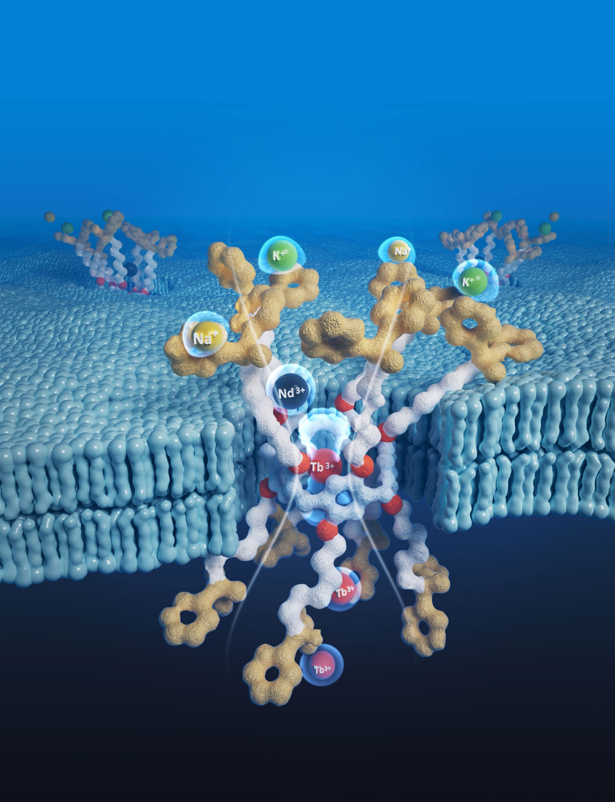Rendering of rare earth extraction channels