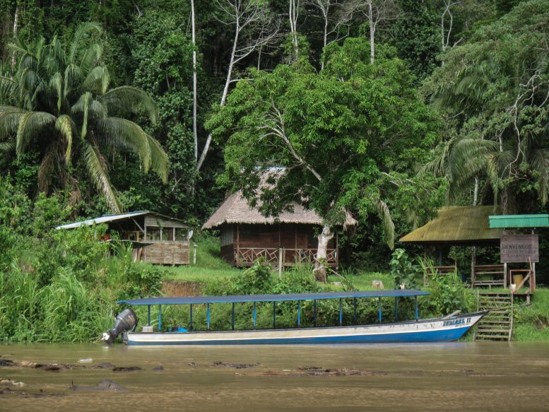 Research Station Los Amigos in Peru