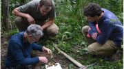 Research Team Examines Aspen Forest Soils