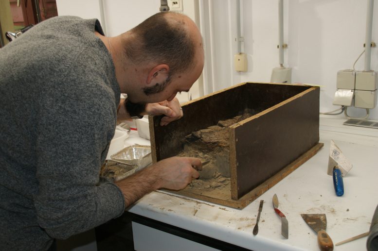 Researcher Excavating a Sediment Block