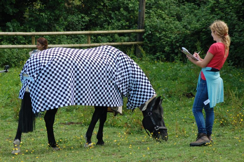 Researcher Horse Patterned Blanket