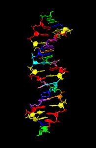 Researchers Create DNA like Molecule