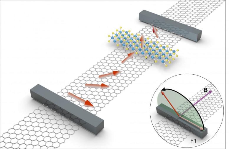 Researchers Demonstrate Spin Anisotropy in Graphene
