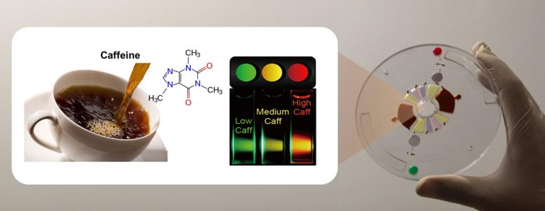 Researchers Develop a Fluorescent Caffeine Detector