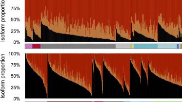 Researchers Develop a Method for Identifying Splicing-Based Biomarkers for Liver Cancer