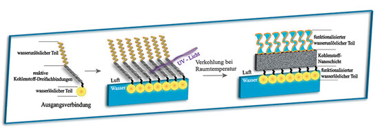 Researchers Develop a Self Organizing Carbon Nanolayer Nanomaterial