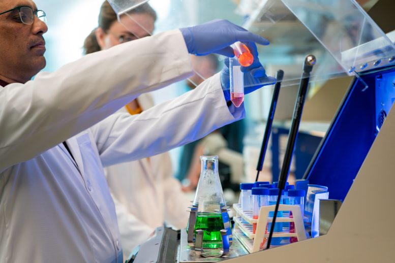 Researchers Develop an Innovative Nasal Spray Targeting Brain Aging