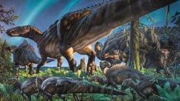 Researchers Discover Cold Weather Dinosaur Fossils