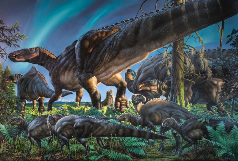 Researchers Discover Cold Weather Dinosaur Fossils