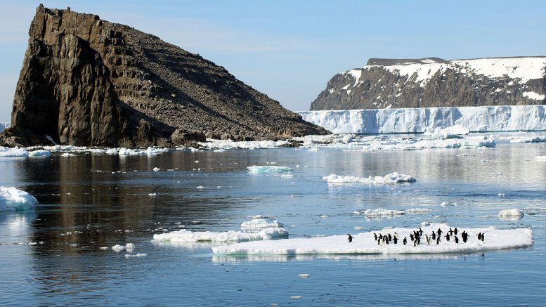 Researchers Discover Supercolony-of Adelie Penguins in Antarctica