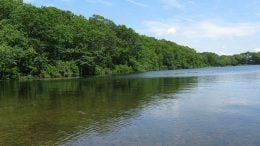 Researchers Discover an Anti-Bacterial Virus in a Connecticut Lake