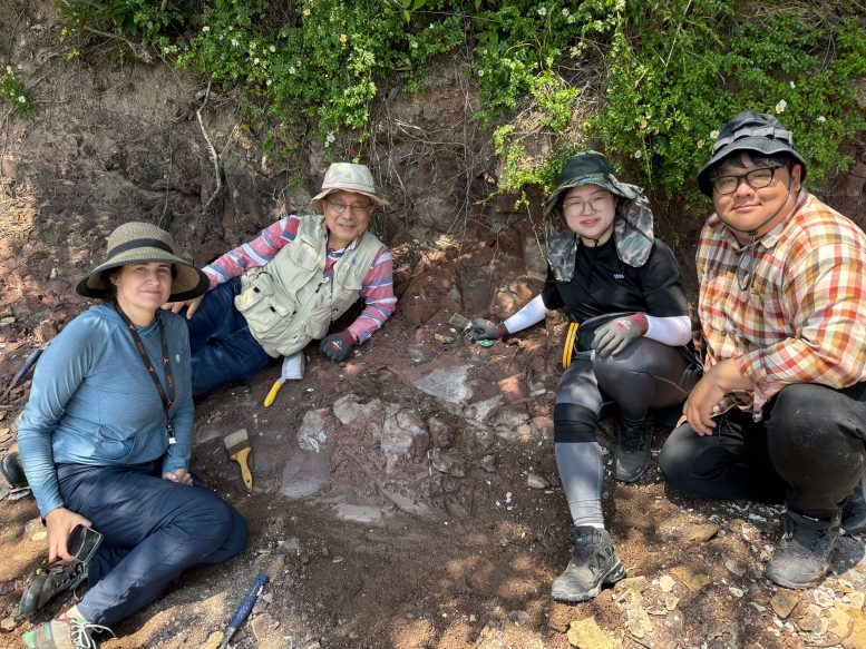 Researchers Doing Fieldwork on Aphae Island in South Korea