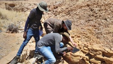 Unlocking the Deep Past: New Study Maps the Dawn of Animal Life