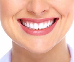 Researchers Grow Bioengineered Teeth