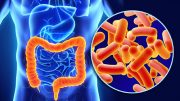 Researchers Identify Key Protein That Contributes to Colitis