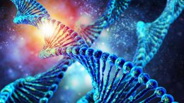 Researchers Identify a Reversible "Master Switch" on Most Developmental Genes