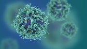 Researchers Show How Viruses Disarm the Immune System