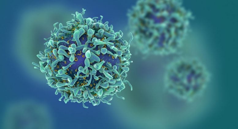 Researchers Show How Viruses Disarm the Immune System