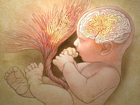 Researchers Spot Autism Risk at Birth in Abnormal Placentas