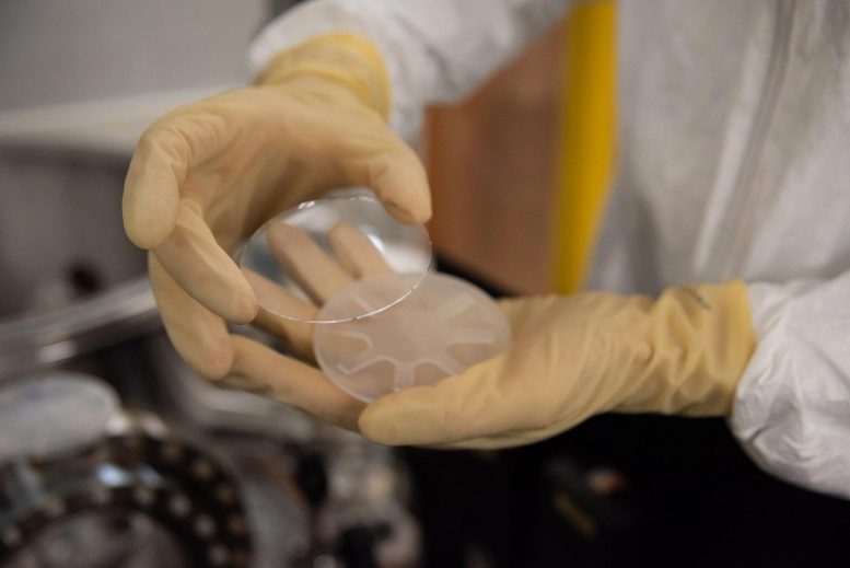 Researchers Test Coatings for LIGO Mirrors
