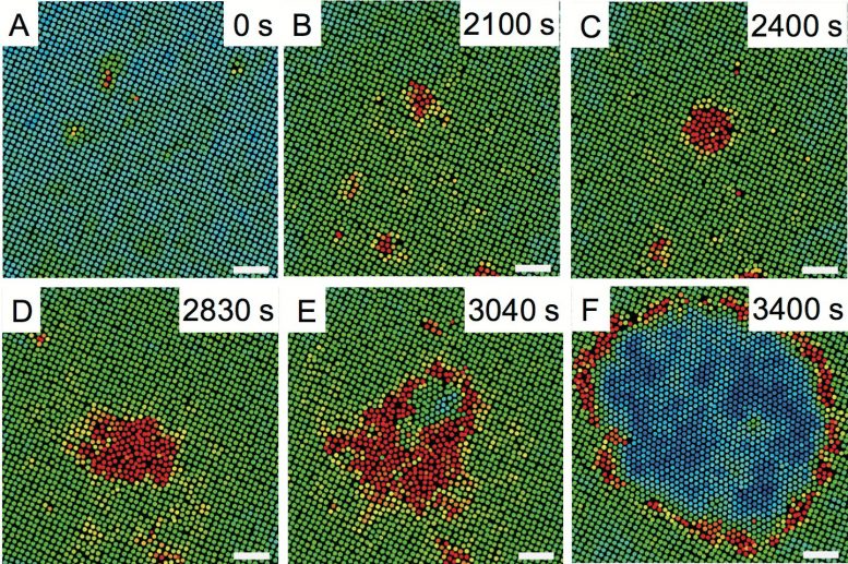 Researchers Uncover Mechanism Behind Solid-Solid Phase Transitions