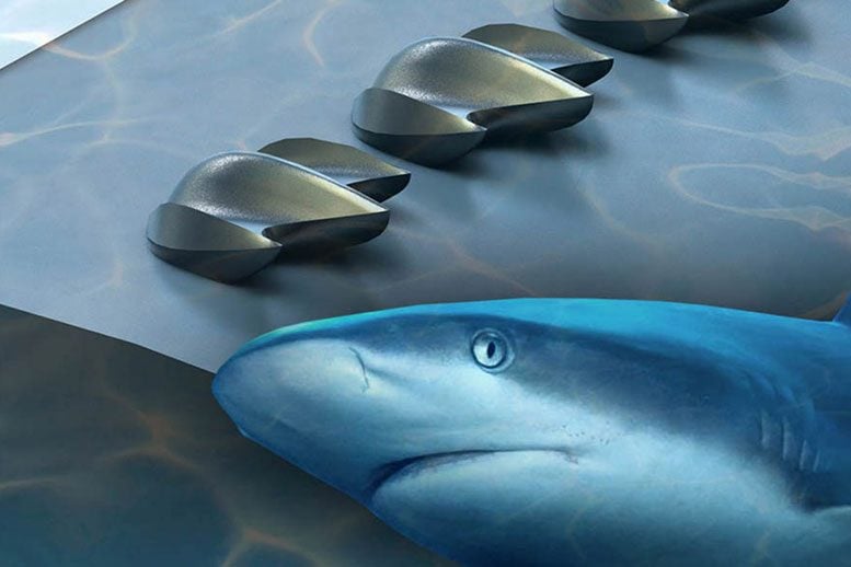 Researchers Use Shark Scales to Better Design Drones, Planes, Turbines