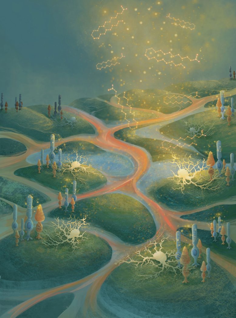 Retina as a Landscape at Night Artistic Rendering