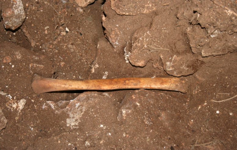 Reutilization of Human Remains at Marmoles Cave