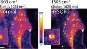 Reversible Saturable Optical Raman Transitions RESORT Imaging