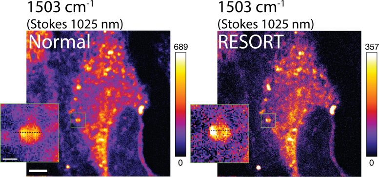 Reversible Saturable Optical Raman Transitions RESORT Imaging