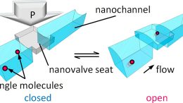 Revolutionary Nanovalve Enables Active Control of Single Molecule Flows