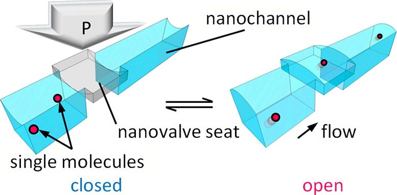 Revolutionary Nanovalve Enables Active Control of Single Molecule Flows