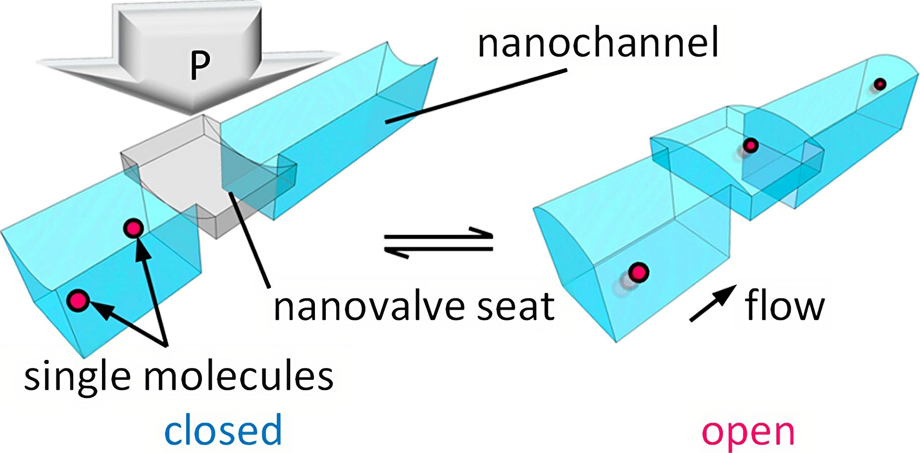 Nano percée – valve à molécule unique