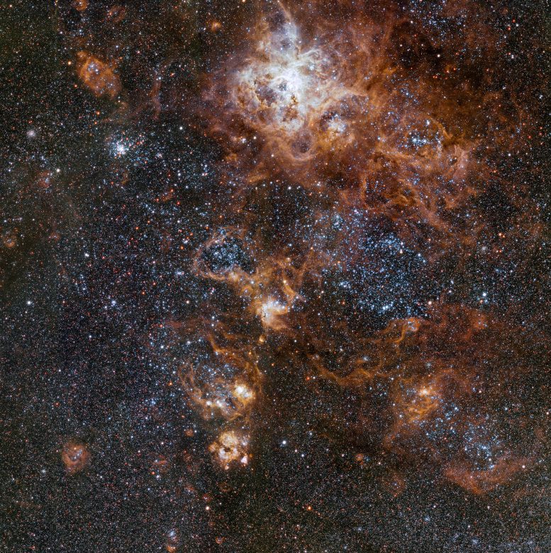 Rich Region Around Tarantula Nebula in Large Magellanic Cloud
