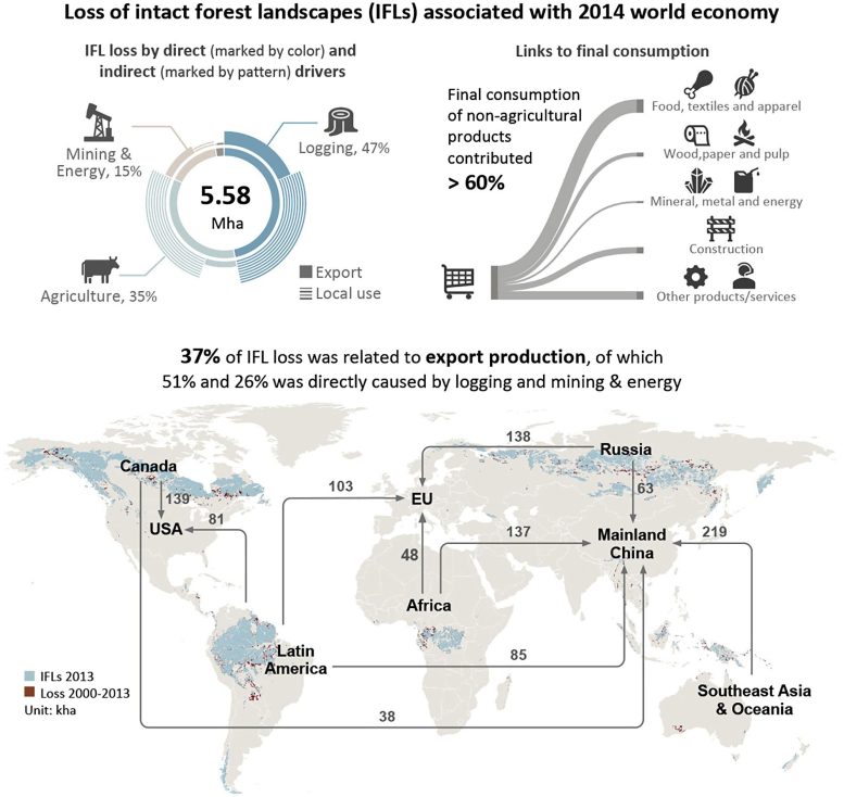 Risk of Intact Forest Landscape Loss Goes Beyond Global Agricultural Supply Chains