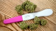 Risks From Cannabis Exposure During Pregnancy