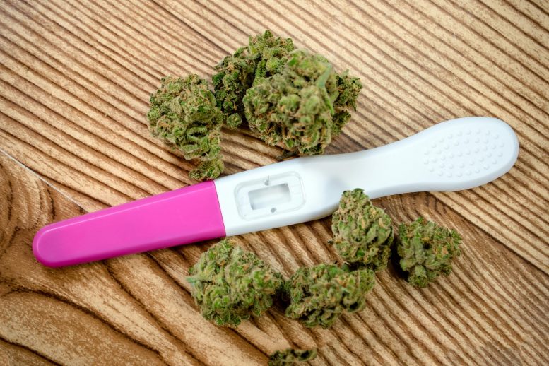Risks From Cannabis Exposure During Pregnancy