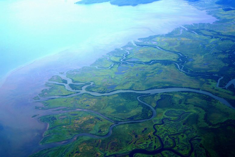 River Delta Kamchatka
