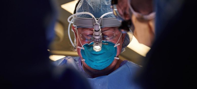 Robert Montgomery Xenotransplantation Surgery