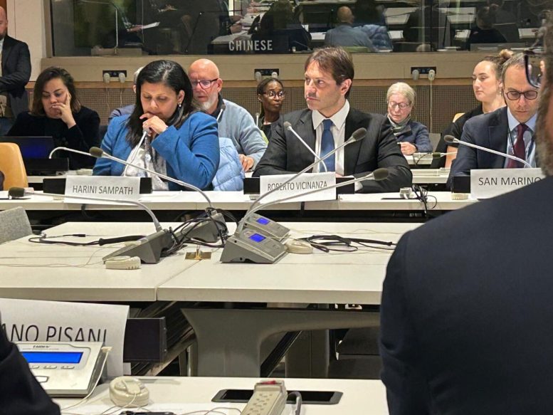 Roberto Vicinanza Addresses a UN Meeting
