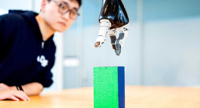 Robotic Arm Picks Up Block