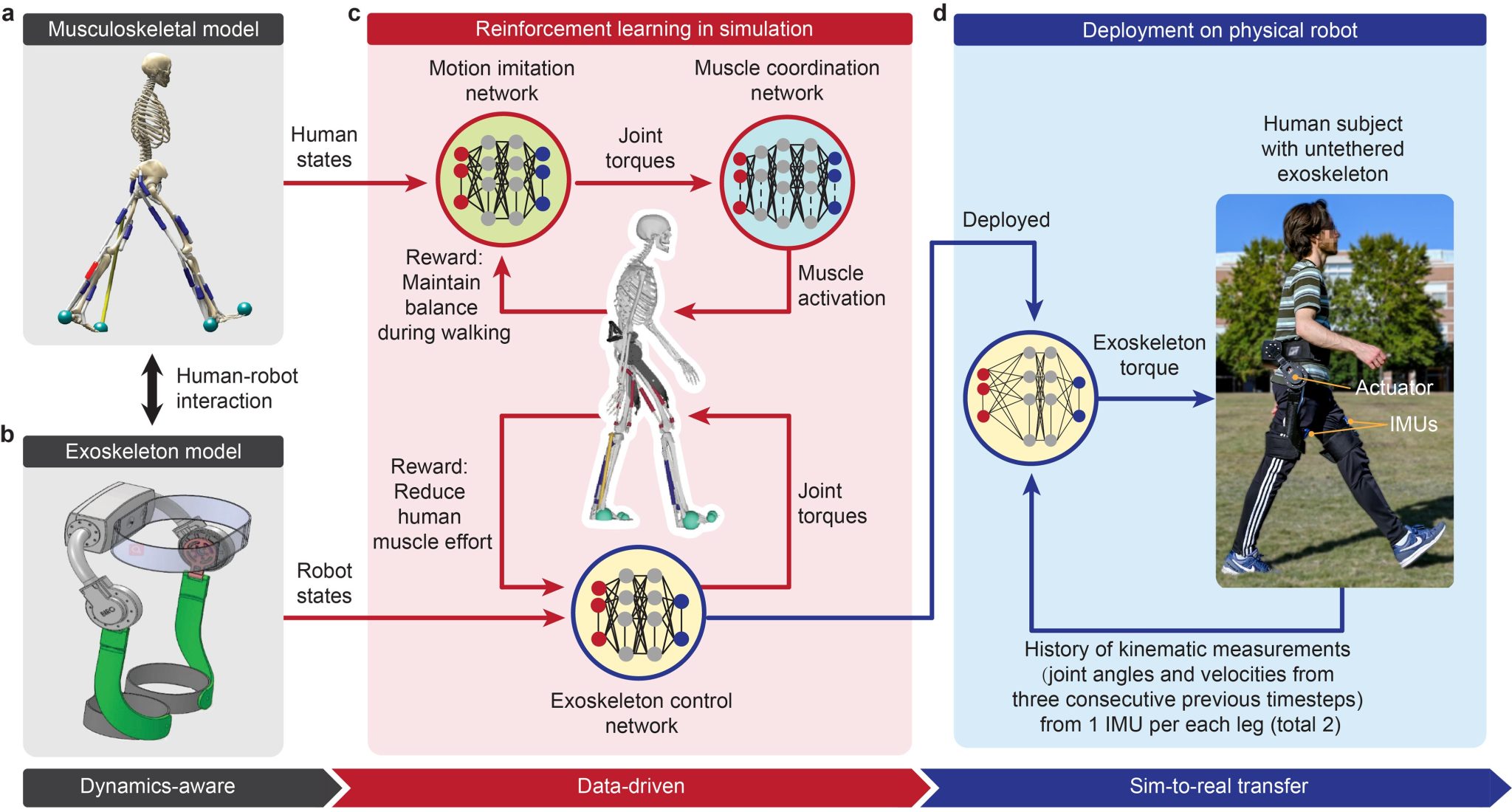 AI and Exoskeletons Team Up to Transform Human Performance on Earth and ...